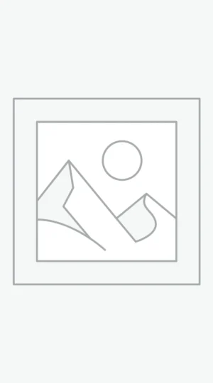 عنصر نائب Placeholder